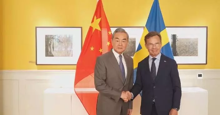 China willing to strengthen all-level exchanges with Sweden: FM