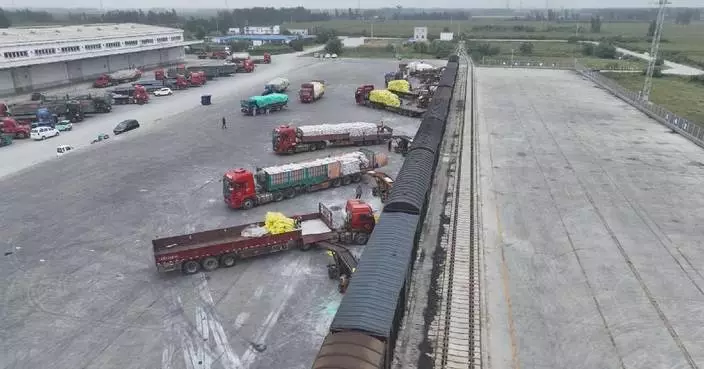 China's bulk commodity price index edges down in June