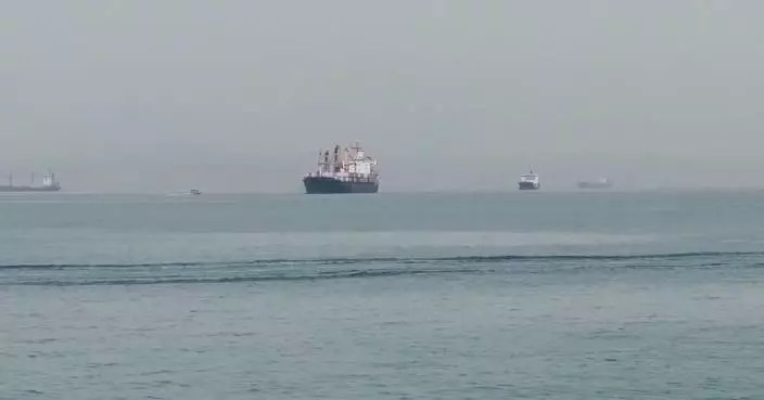 Iran, Qatar resume maritime trade: media