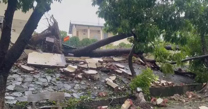 Typhoon Maysak brings heavy rain, outages to Vietnam's northern coastal city