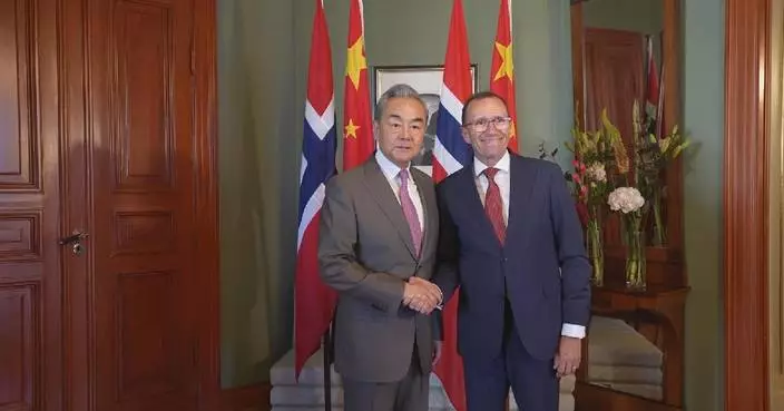 China, Norway should jointly contribute to world peace, development: FM