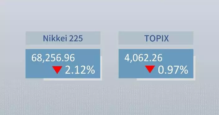 Tokyo stocks fall as chip shares slump