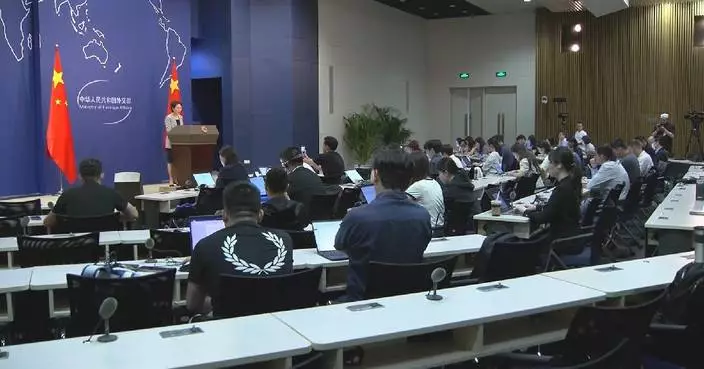 China welcomes firms from Denmark, Sweden, Finland, Norway to share market opportunities
