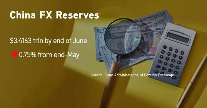 China's foreign exchange reserves down 0.75 pct in June