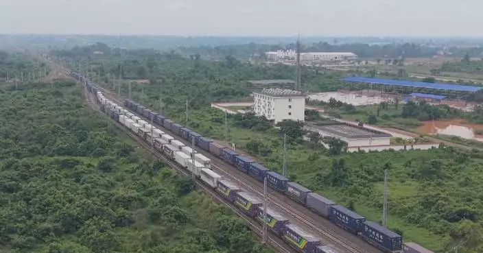 China-Laos Railway transports over 20 million tonnes of cargo