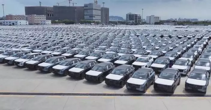 China's NEV market grows steadily in first half of 2026