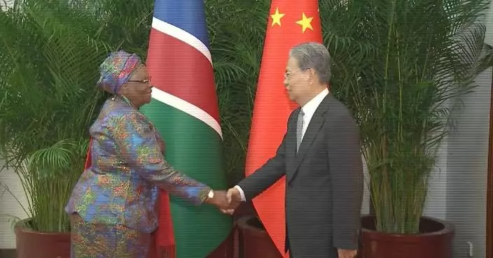 China's top legislator meets Namibian president