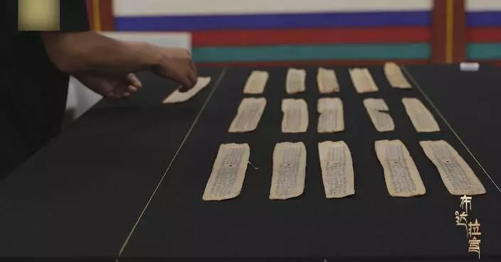 Potala Palace in China's Xizang preserves ancient palm-leaf scriptures