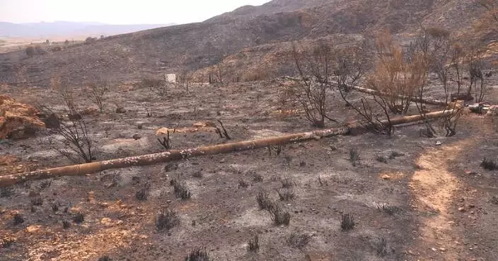 Wildfire claims 12 lives in southern Spain, prompting emergency response