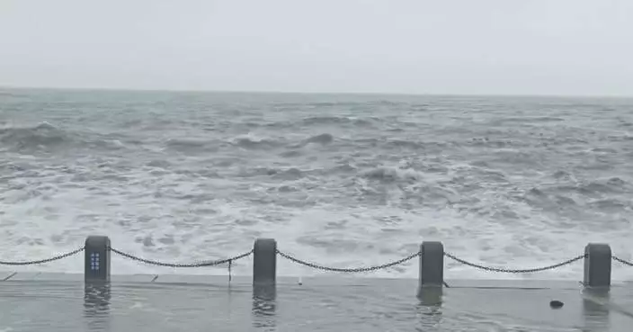 Typhoon Bavi stirs up huge waves in northeast China's Dalian