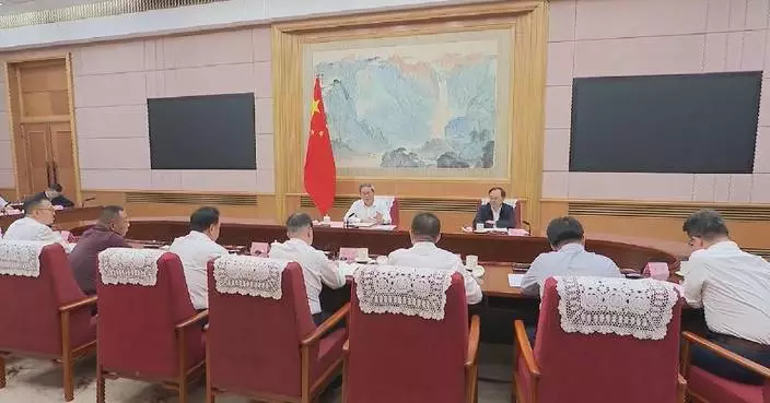Chinese premier urges sustaining steady economic growth in H2