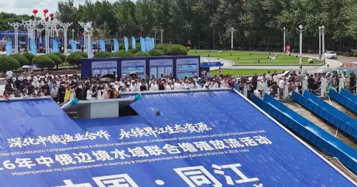 China, Russia release over 5.6 million fish into border river to replenish stocks