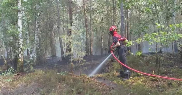 Fire devastates over 2,000 hectares of France's Fontainebleau Forest