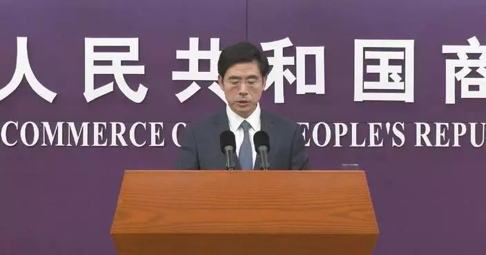 China, Netherlands agree to help firms resolve Nexperia dispute: Chinese spokesman