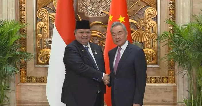 Chinese FM meets Indonesian coordinating minister for economic affairs