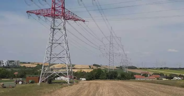 Austrian startup leverages AI to stabilize green-energy power supply