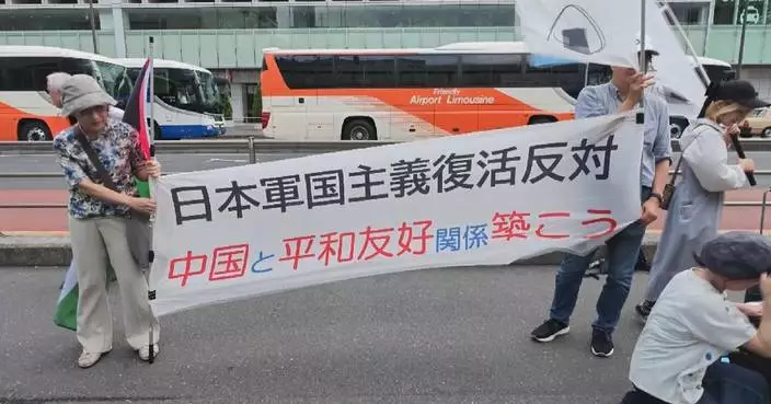 Peace advocates rally in Tokyo to oppose government's push to revise pacifist constitution