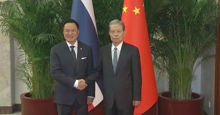 China's top legislator meets Thai PM