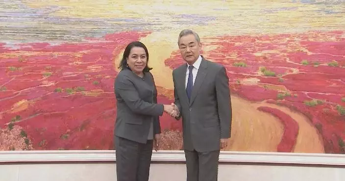 China firmly supports cause of UN: top diplomat