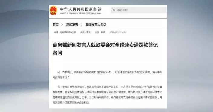 Ministry supports Chinese firms overseas to defend interests with law