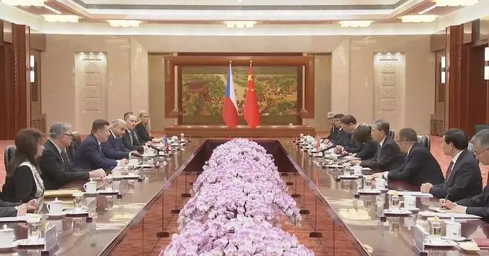 China's top legislator holds talks with speaker of Czech Chamber of Deputies