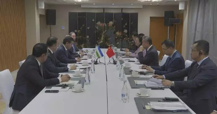 Chinese FM meets Uzbek counterpart