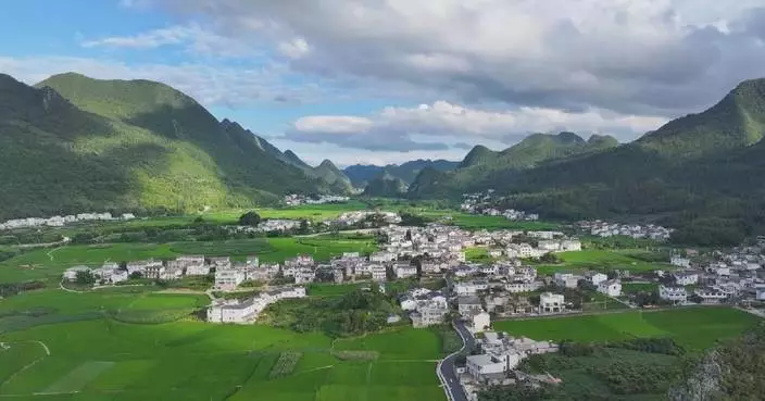 China’s rural economy maintains steady growth in first half
