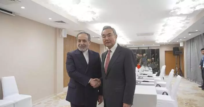 Chinese FM meets Iranian counterpart, urges resumption of negotiations