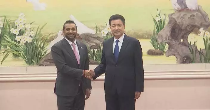 Senior Chinese official meets FBI director