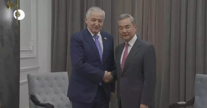 Chinese FM meets Tajik counterpart