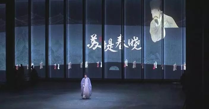 China's commercial performance box office revenue up 9.41 pct in H1