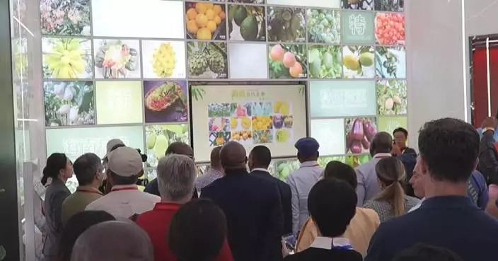 Foreign diplomatic envoys visit Hainan