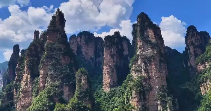 Global tourists flock to China's Zhangjiajie for cool mountain getaway
