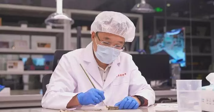 Young restorers combine tradition with high-tech to protect Sanxingdui treasures