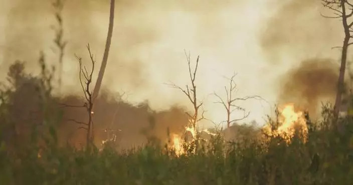 Around 200,000 evacuated as wildfires rage on in southwestern France