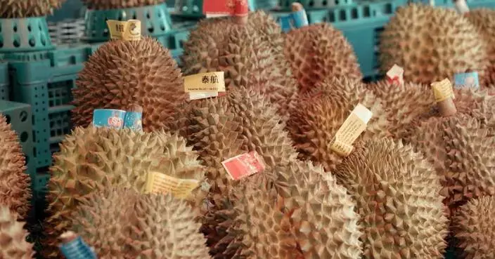China's cold-chain logistics network sees accelerated improvement
