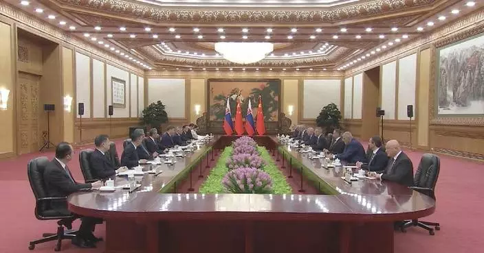 Xi holds talks with Slovak president in Beijing