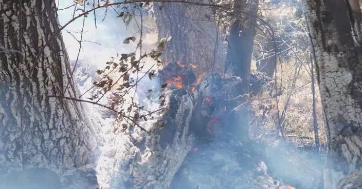Tens of thousands evacuated as wildfires rage across Spain