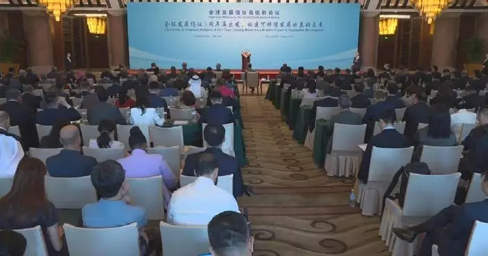 Beijing hosts high-level meeting on GDI to renew momentum of global development