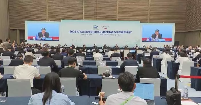 Chinese vice premier addresses APEC ministerial meeting on forestry