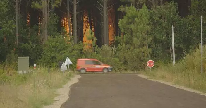 Bordeaux locals lament impact of climate change as raging wildfires wreak havoc