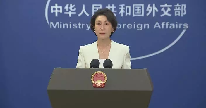 China to safeguard its firms' legitimate rights against US suppression: spokeswoman