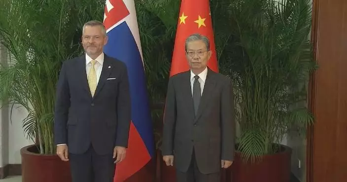 China's top legislator meets Slovak president on relations