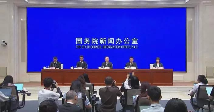 China to promote mutual empowerment of intellectual property, AI: official