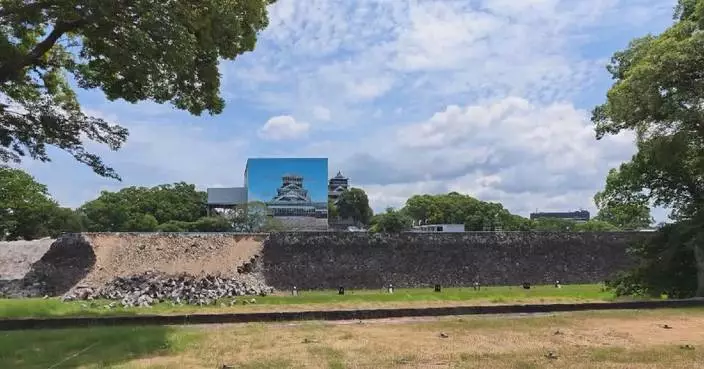 Kumamoto's landmark castle damaged in Japan earthquake