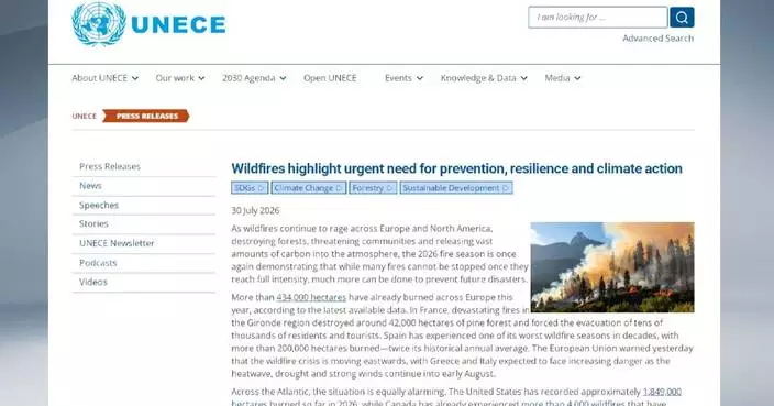 UNECE says over 434,000 hectares burned in Europe this year
