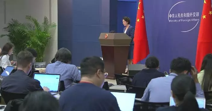 China supports its companies to conduct market-based international cooperation: FM spokeswoman