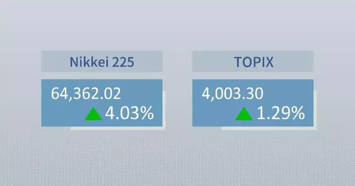 Tokyo stocks rise on robust AI, chip earnings