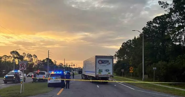 Man fleeing immigration officers in Florida is struck and killed by tractor trailer, police say
