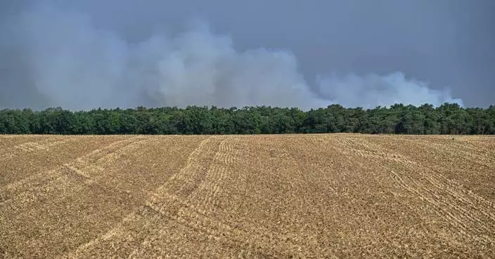 Fire in Fontainebleau forest near Paris triggers evacuations, disrupts trains and highway